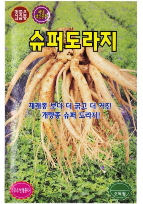 영농사 <슈퍼도라지 씨앗 2000립> 도라지씨, 1개