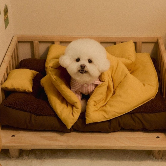 뭉연구소 아기궁뎅이 콩섬유 강아지 이불 담요 베개 세트, 1개, 버터옐로우