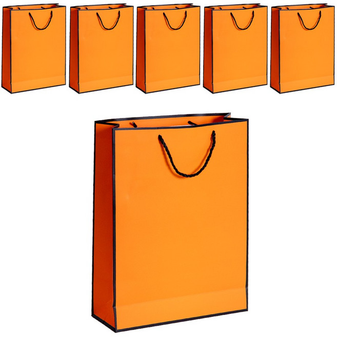 VITALO 시그니처라인 쇼핑백 선물용 답례품 두꺼운 고급 종이가방 튼튼한 쇼핑백 6P, 6개, PGC_OR(오렌지)