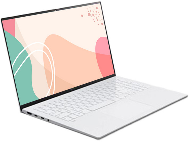 LG그램 노트북 14인치 가벼운 인텔 코어 i7 11세대 램16기가 SSD512GB 윈11, 14ZB95N, WIN11 Pro, 16GB, 512GB, 단일