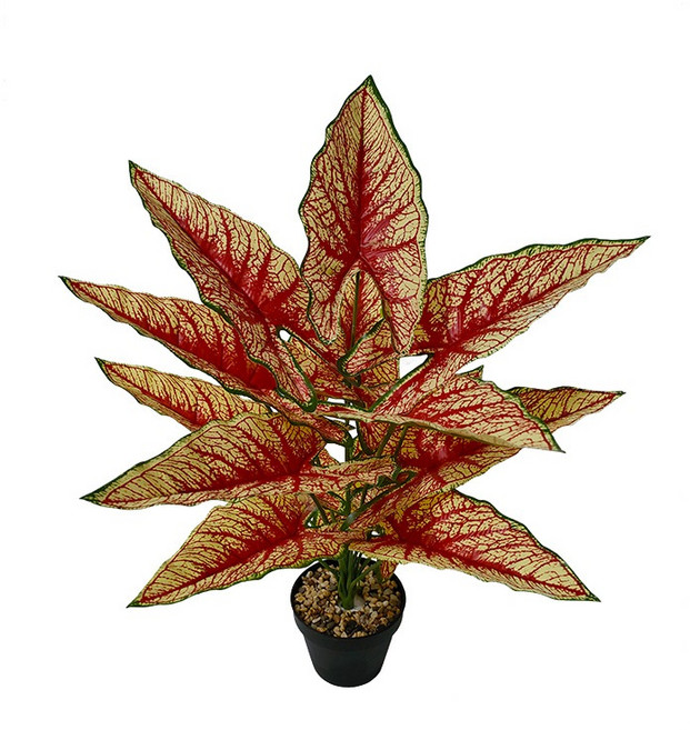 仿真植物 白斑龜背芋 斑葉龜背芋 仿真龜背芋 仿真室內植物 龜背芋 斑葉, 1個, 12葉60cm楓葉色彩葉芋配小盆