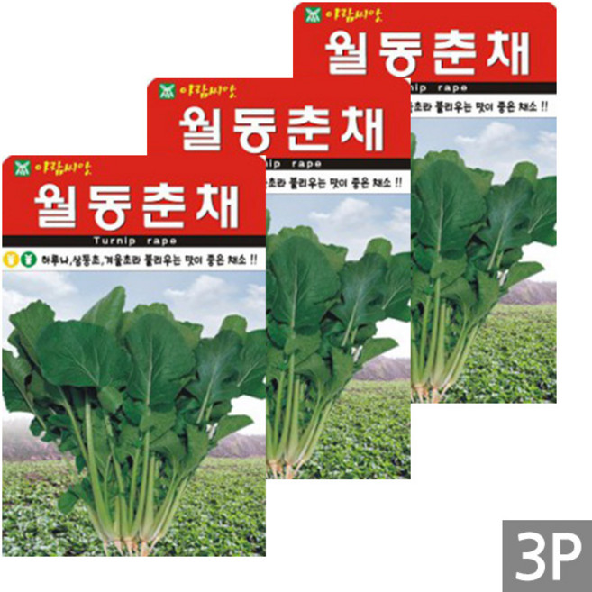 세인화분 월동춘채 소포장 - 하루나 삼동초 씨 씨앗, 3개