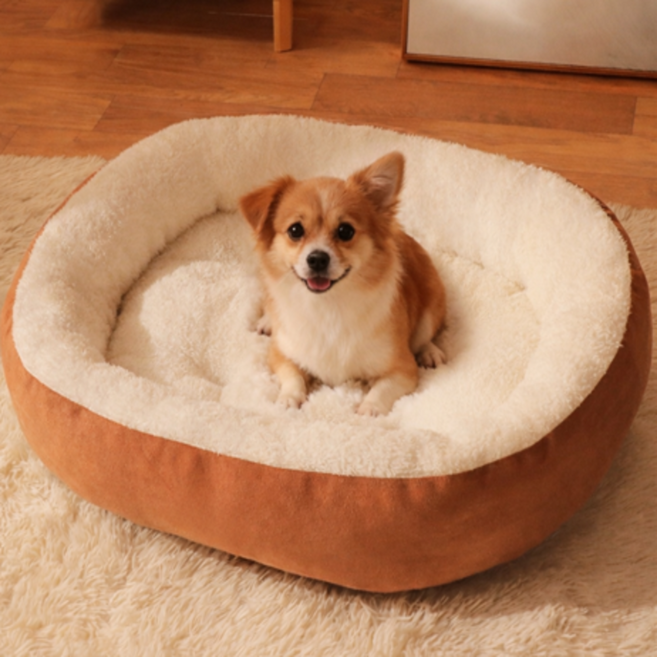 멍담 강아지 도넛 쿠션 방석 푹신한 논슬립 꿀잠, 1개, 베이지