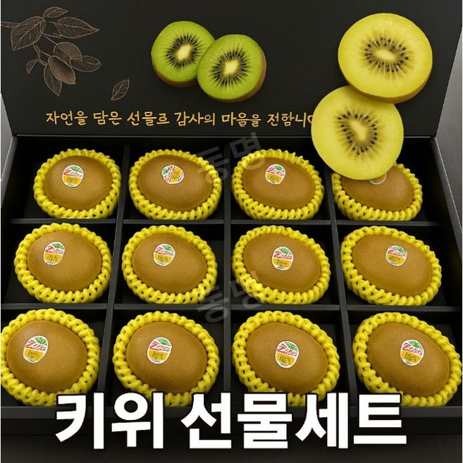 동명 프리미엄 키위 선물세트 명절 특대과 3kg 보자기 포함, 그린키위 16과