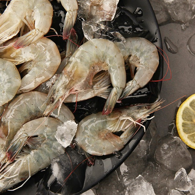 [오초록] 산지직송 신안 무항생제 급랭 왕 새우 1kg(30미~35미 내외), 1박스