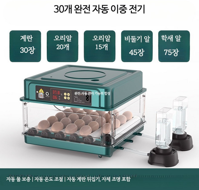 소형 스마트 자동 부화기 계란 메추리알 병아리 오리 거위용 온도조절 가정용 조류 부화기, 30개, 그린 30개 완전자동 이중 전원