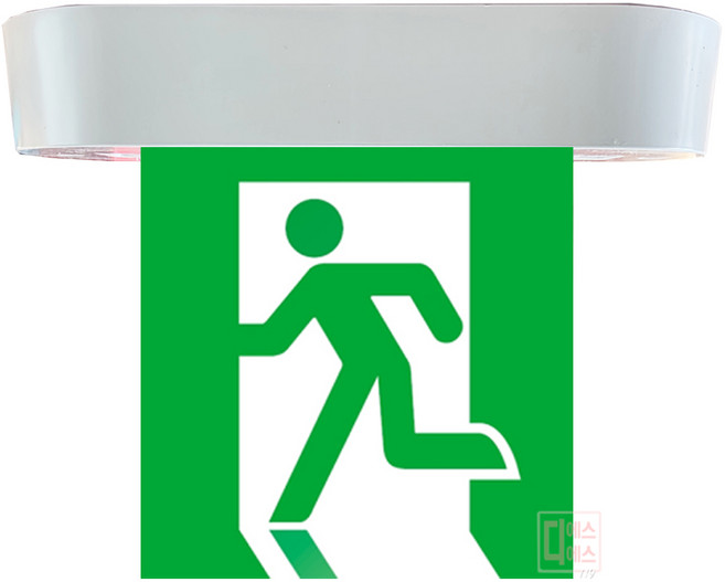 리더스테크 피난구유도등 천정형 소형 국산정품, 1개, 단면)무방향