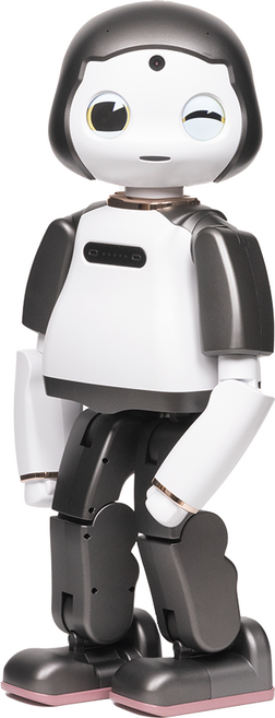 리쿠 LiKU 감성로봇 소셜로봇 인공지능 ai로봇 시니어용, 1개