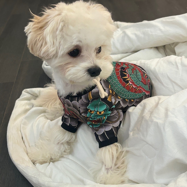 강아지문신옷 강아지타투옷 강아지이레즈미옷, one color, 1개