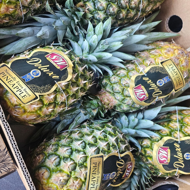 일등농수산 고당도 허니파인 디럭스 파인애플, 1개, 중소과 2과 (2.5kg 내외)