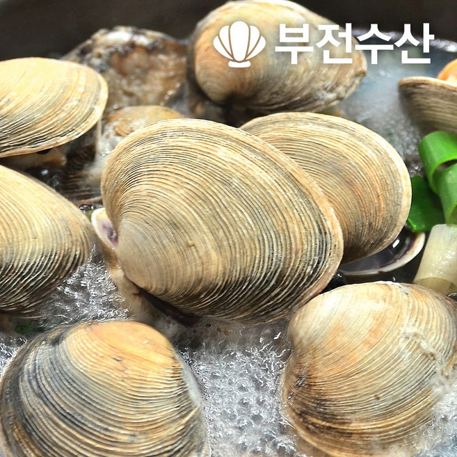 부전수산 냉동 손질 신선한 내장 제거 개조개살 (대합살) 대용량 8kg (500g x 16개) 개조개 대합조개 백합 육수재료 해장국재료 개조개미역국 조개탕 조개구이, 16개, 500g