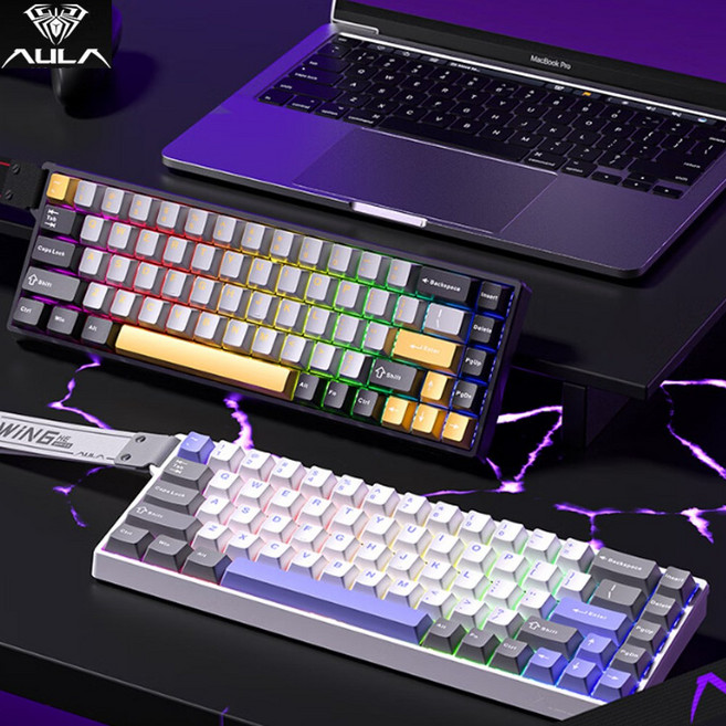 [청이스토어] 독거미 AULA 유선 8K WiN 60/68HE/68HE PRO MAX 시리즈 마그네틱 게이밍 키보드 메탈보강판 RGB램프 PBT키캡, WiN 60HE PRO버전-블랙그레이, 형이횐축