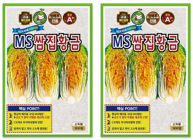 KS종묘 MS쌈집황금 배추씨앗 300립 황금색 쌈배추씨 종자, 2개