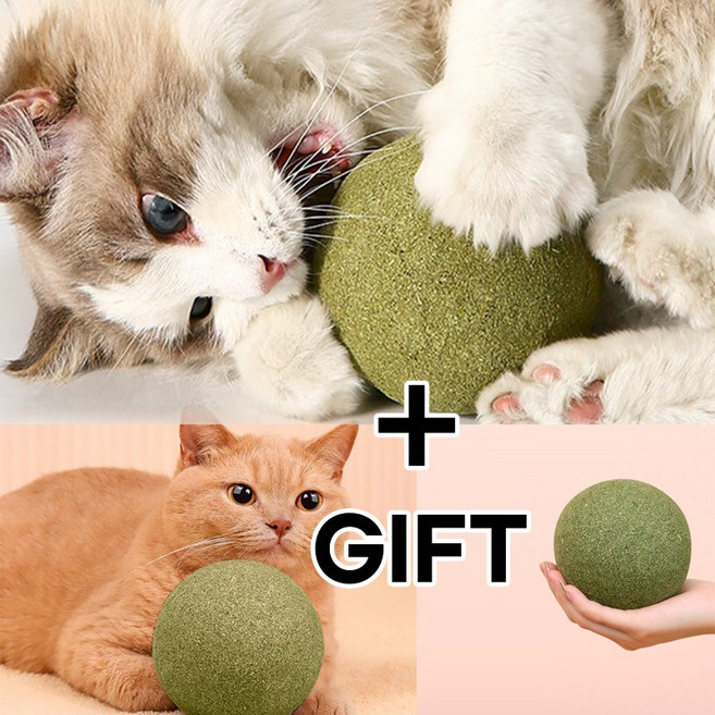 휴앤코 1+1 초대형 10cm 캣닙볼 캣입 고양이 딸랑이 캣닢 장난감, 10cm초대형 캣닙볼2개, 1세트
