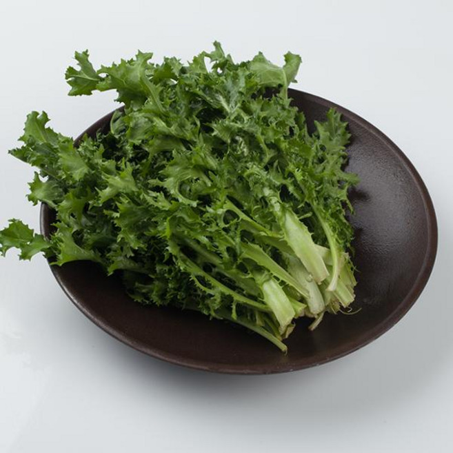 늘바른 국내산 친환경 무농약 치커리 100g 6봉