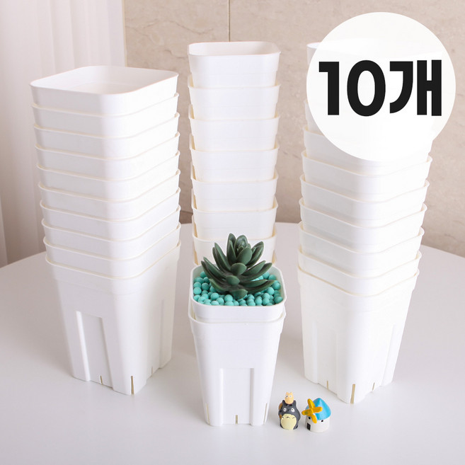 세경팜 일본 프레스테라 사각 슬릿화분 10개입 쇼츠 롱 슬릿분, 10개, 화이트