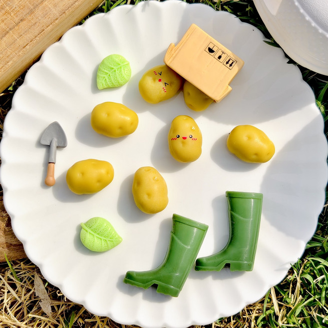 와르르 쏟아진 강원 못난이 햇수미감자 신발 악세사리 세트