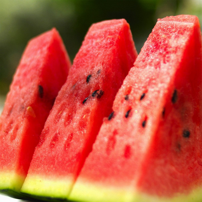 [오늘특가] 수박 고당도 하우스, 1개, 타임특가)) 5KG내외 (품절임박)