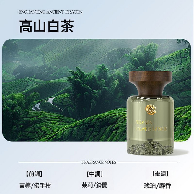 塔羅見山車載精油香薰持久留香車內淡異味高級車載高檔香水120ml, 1個, 高山白茶120ml:如圖所示