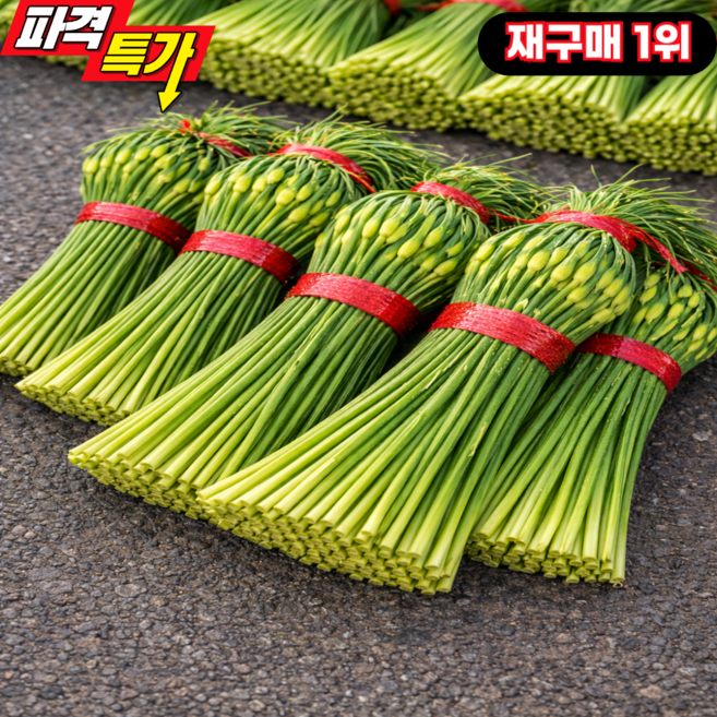 [재구매1위] 2026 남해 마늘쫑 산지직송, 1개, 1kg 중품
