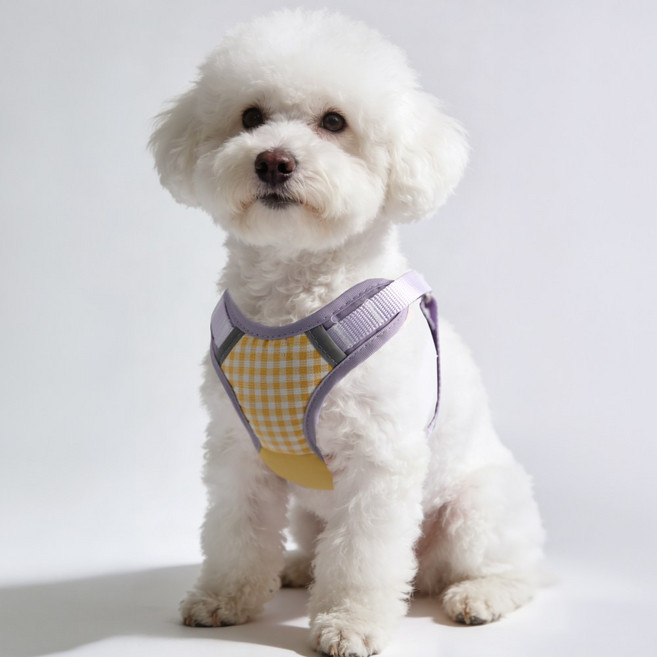 코지스 강아지하네스 + 리드줄 1.5m 세트, 1개, 퍼플