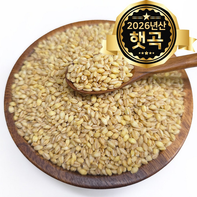 힘찬농부오달봉 국산 황금찰보리 찰보리 26년산, 10kg, 1개