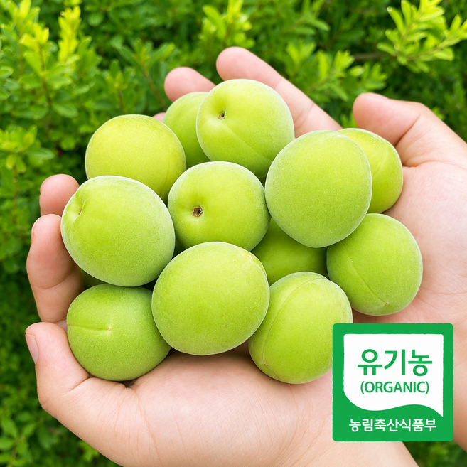 [100박스한정특가] 광양 유기농 매실 청매실, 1박스, 3kg