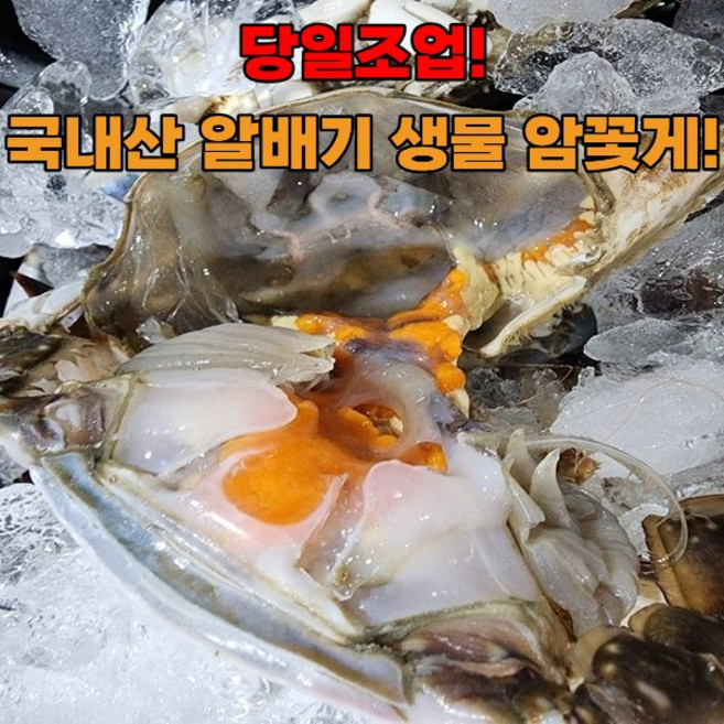 [특가할인] 산지직송 당일조업 국내산 생물 알배기 암꽃게, 1박스, 4kg