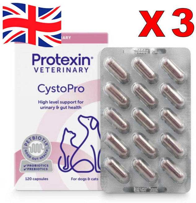 [영국발송] 120정 3정 프로텍신 시스토프로 반려견 반려묘 방광 영양제 Protexin CystoPro Urinary Care, 유리너리+결석, 3개