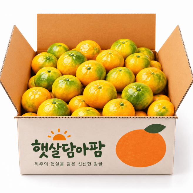 [맛보장] 맛없으면 반품! 제주 노지감귤 12Brix 당도선별, 1박스, 귤 10kg