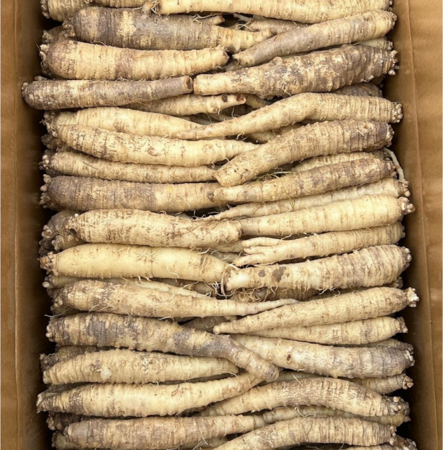 더덕(중사이즈) 세척더덕, 1개, 2kg
