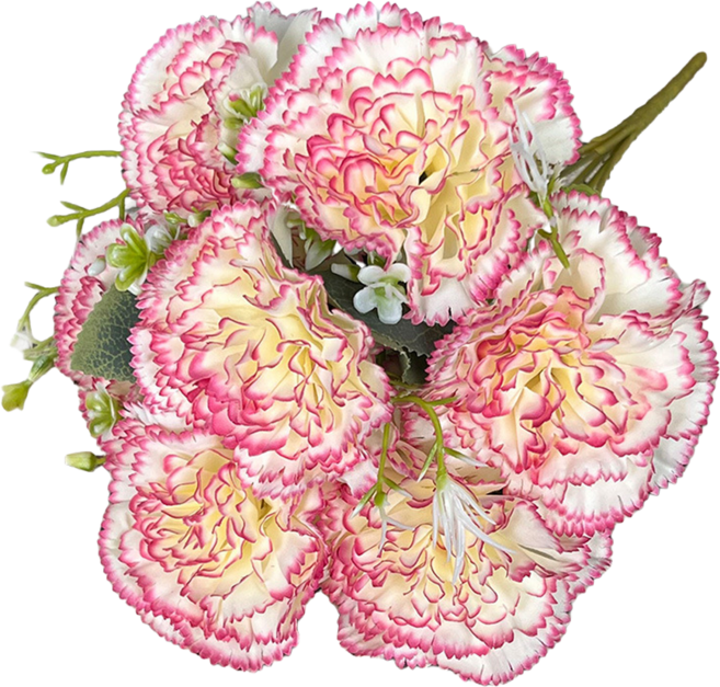 시그니프 카네이션 어버이날 스승의날 꽃다발 2p 세트 조화 선물, 2개, 보라색테두리