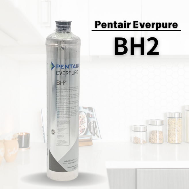 Pentair Everpure BH2抑菌軟垢型家用濾心 美國原裝進口 平行輸入品, BH2, 1個
