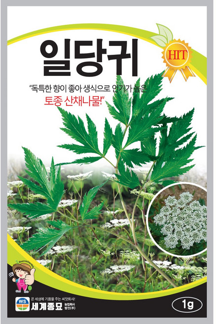 세계종묘 일당귀 씨앗 1g, 1개