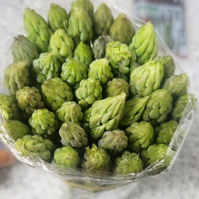 국산 아스파라거스 생아스파라거 강원도 산지직송 아스파라거스즙 Asparagus, 1개, 500g 랜덤