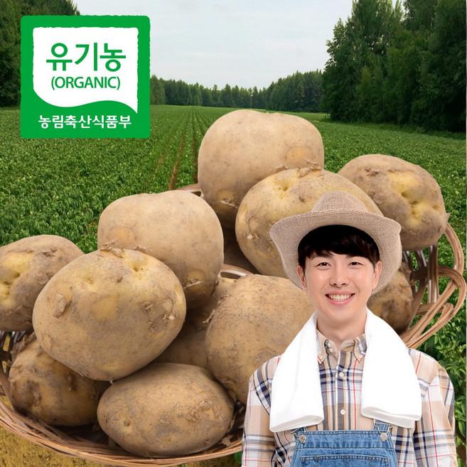 산지직송 강원도감자 유기농 강원도 감자 5kg 분감자 특대~왕특 혼합 햇감자 5키로 카스테라감자 포슬포슬감자 한박스 분질감자 쪄먹는 분나는 감자 홍천, 5kg(1개), 1개