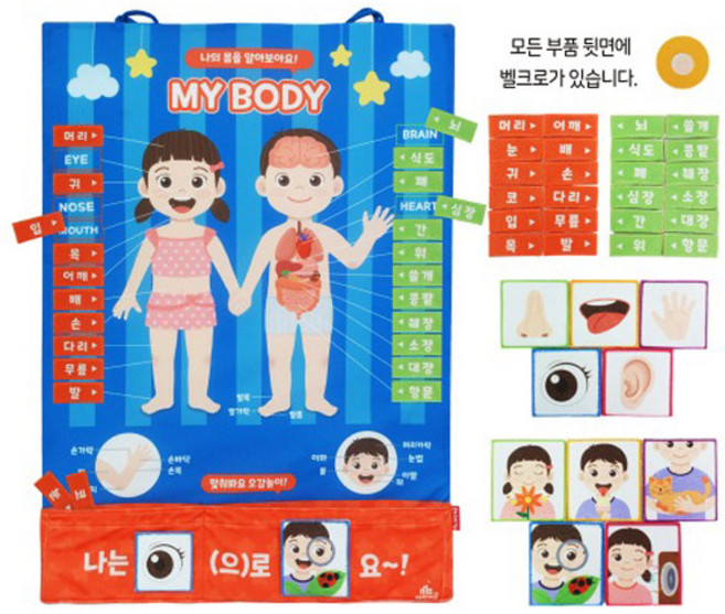 매직캐슬 차트 소중한 나의 몸 배우기 성교육 인체 학습 교구