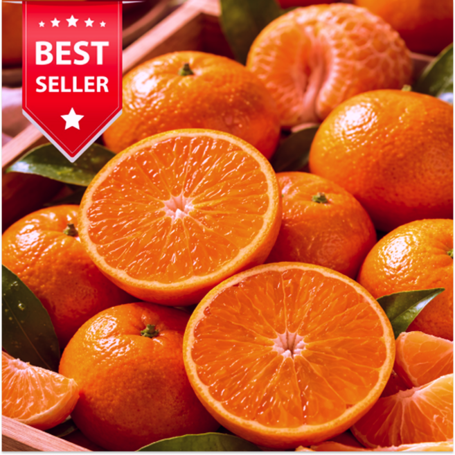 [재구매1위] 제주박씨네농장 고당도 산지직송 제주카라향, 1세트, 10kg