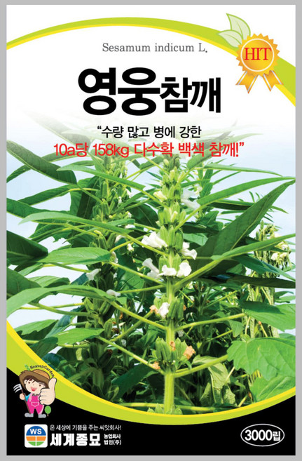 영웅참깨씨앗 외대깨씨앗 3천립, 1개
