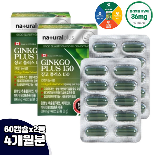 뇌 영양제 징코 은행잎 중년 남자 여자 두뇌 공시생 대치동 영양제 어린이 청소년 노인 엄마 아빠 수험생, 60정