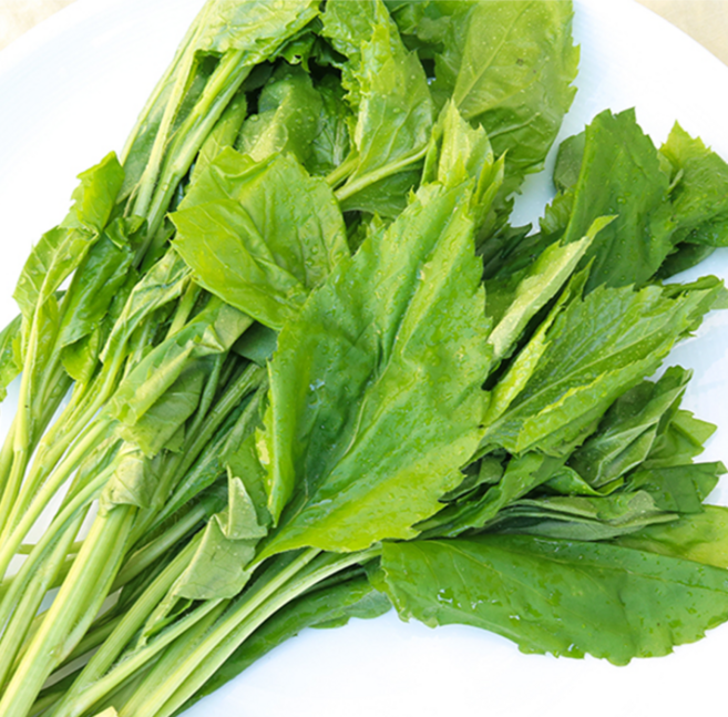 [신선아삭 데친] 부지깽이 나물 데친 부지갱이 국산 부지깽이나물 삶은 부지갱이나물(냉장), 1개, 400g, 400g