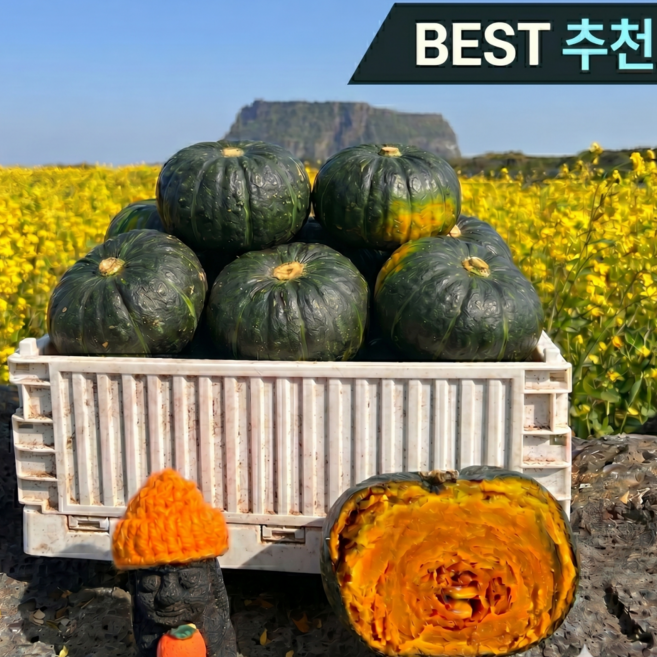 [당도보장] 제주단호박 보우짱 미니 밤호박, 1박스, 1kg (로얄과)