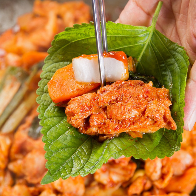 국내산닭 냉장 춘천 닭갈비 당일제조발송 달수 한입 양념닭갈비, 500g, 1개