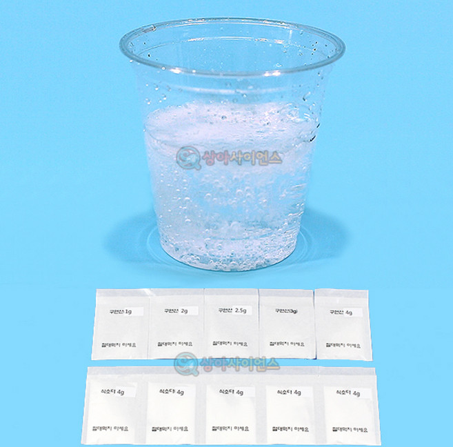 탄산수 만들기 약품 개별포장 1인용 포장, 1개
