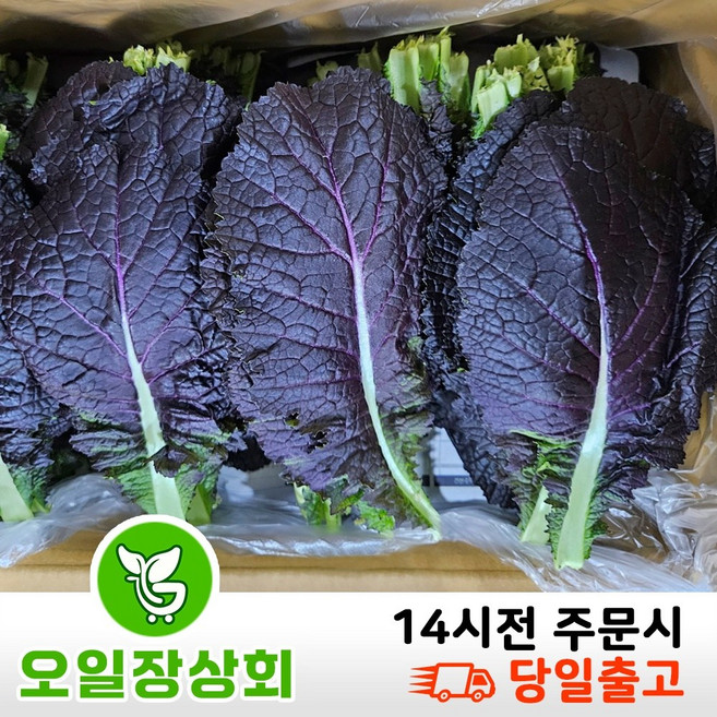 < 오일장 상회 > 국내산 30박스한정행사 적겨자 2kg 4kg내외, 1박스, 3.8~4kg