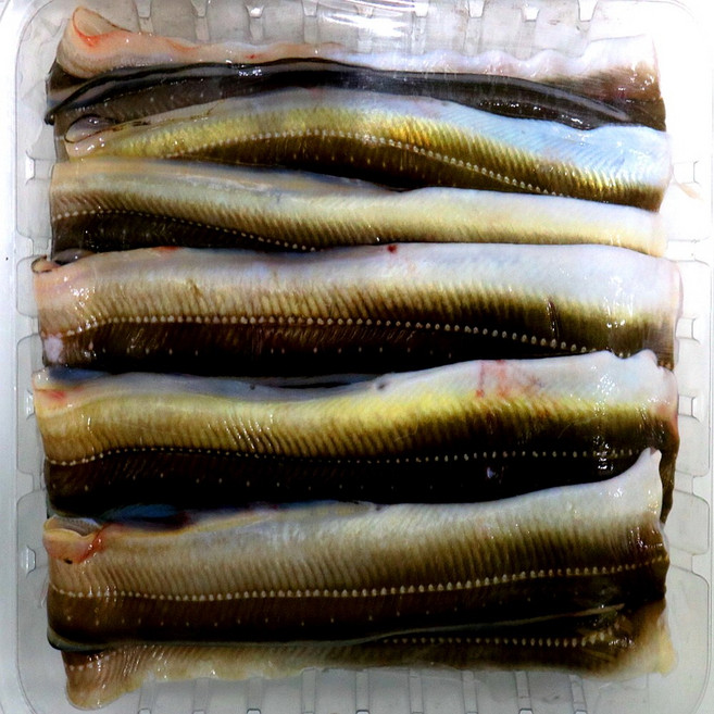 극한직업 장어선단 활장어 선주직송 오후2시 출고, 2.급냉장어 대 5-600g 4-5마리, 1개