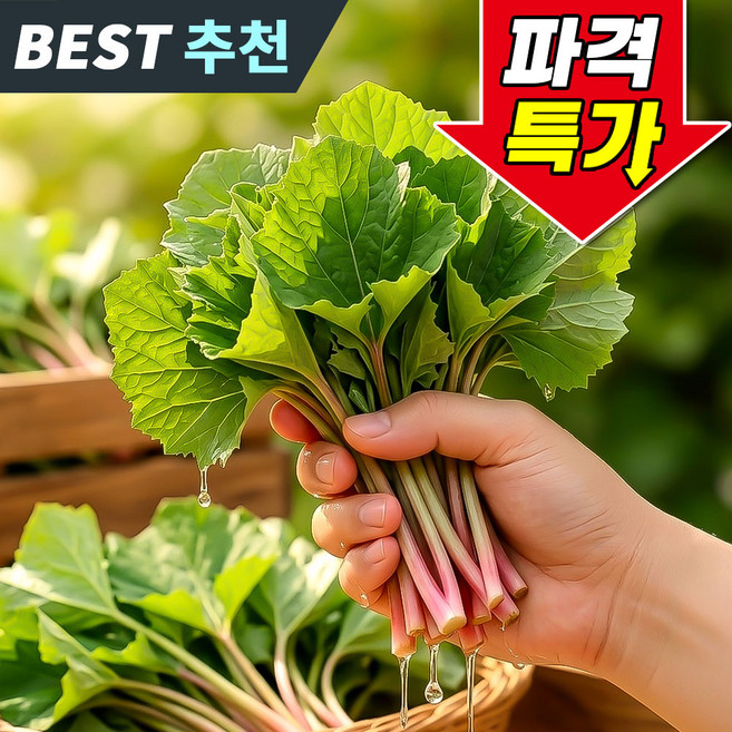 [산지직송] 머위나물 향긋산뜻 봄나물 국산머위, 1박스, 300g