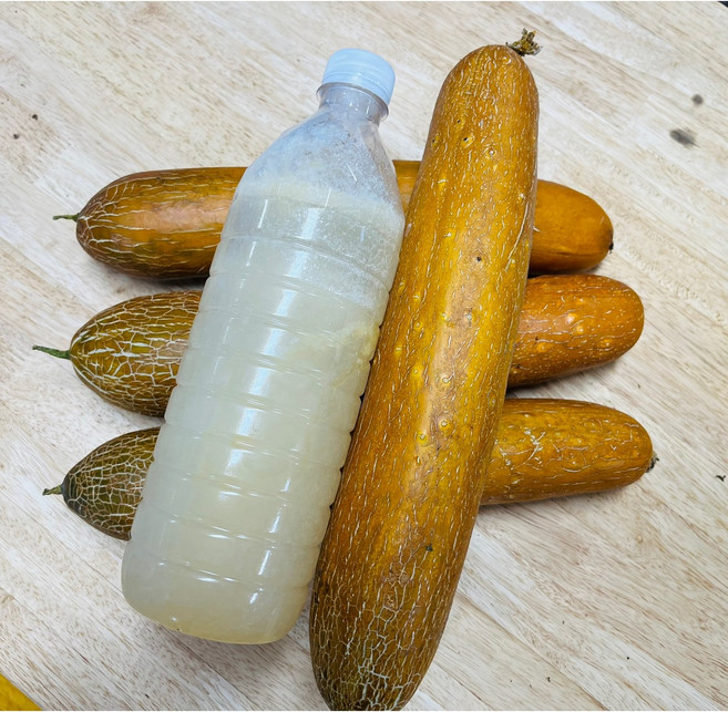 (가락시장까망콩) 국내산 수제 냉동 노각즙 착즙 800g, 1개