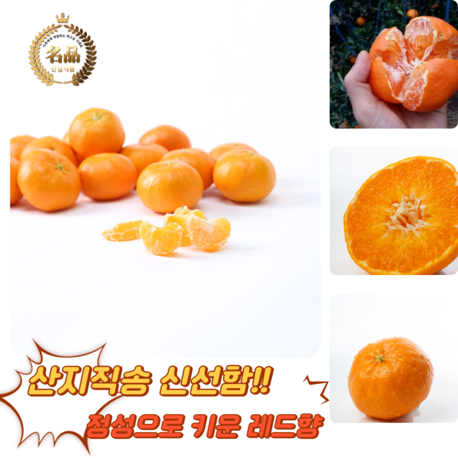 [굿피플] 레드향 제주도레드향 못난이레드향 천혜향 한라봉 감귤 한라봉, 1박스, 가정용 레드향 3kg 중소과(10-15과 내외)