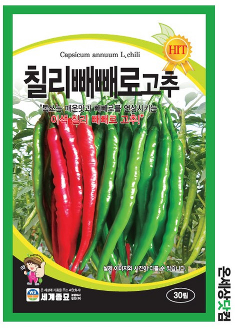 칠리빼빼로고추 30립 / 텃밭 종자 고추씨앗 고추종자, 1개